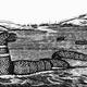 Image for article titled A Field Guide to Cryptids From Europe and Africa